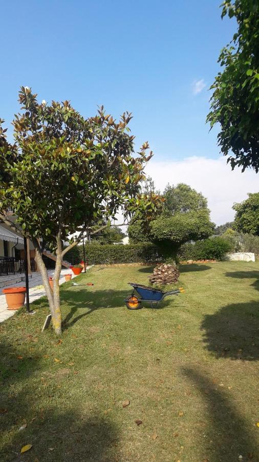 ניאה אירקליה Olive Mare Holidays מראה חיצוני תמונה