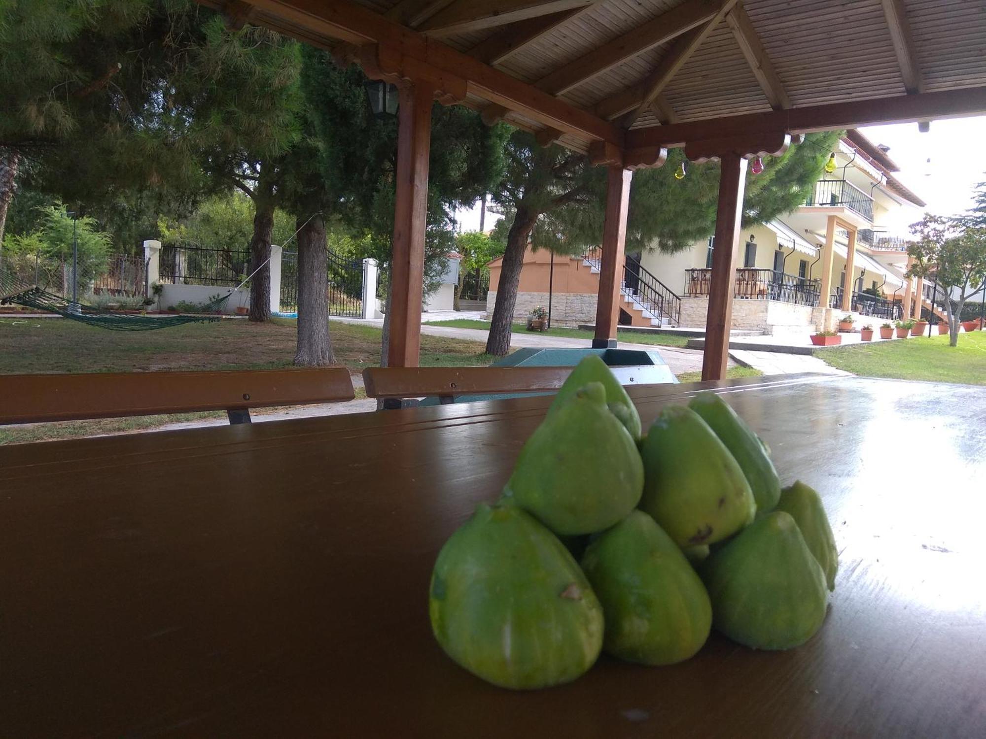 ניאה אירקליה Olive Mare Holidays חדר תמונה
