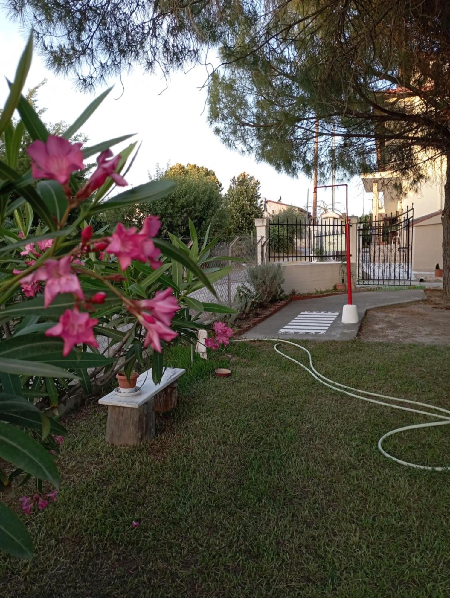 ניאה אירקליה Olive Mare Holidays חדר תמונה